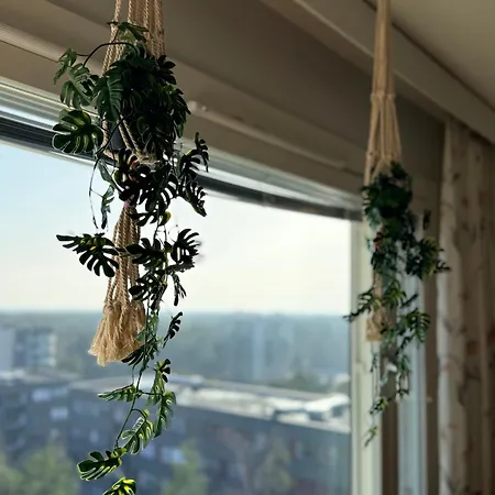 The Treetop * Turku
